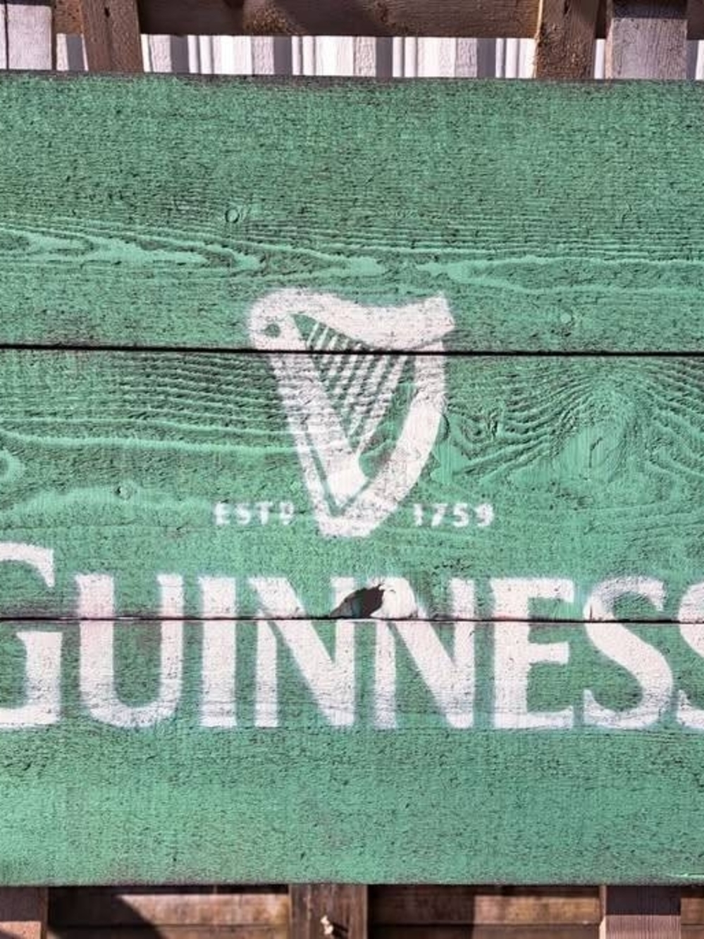 Guinness Logo Wood Sign in Mint Green and White